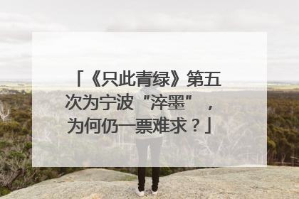《只此青绿》第五次为宁波“淬墨”，为何仍一票难求？
