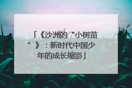 《沙洲的“小树苗”》：新时代中国少年的成长缩影