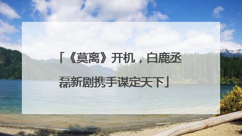 《莫离》开机，白鹿丞磊新剧携手谋定天下