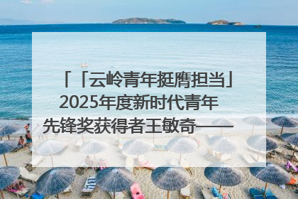 「云岭青年挺膺担当」2025年度新时代青年先锋奖获得者王敏奇——澜沧江上好渔人
