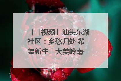 「视频」汕头东湖社区：乡愁归处 希望新生｜大美岭南·百村焕新记
