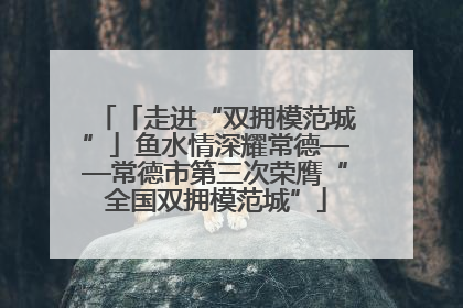 「走进“双拥模范城”」鱼水情深耀常德——常德市第三次荣膺“全国双拥模范城”