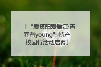“爱资阳爱雁江·青春有young”特产校园行活动启幕
