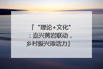 “理论+文化”：嘉兴黄岩联动，乡村振兴添活力