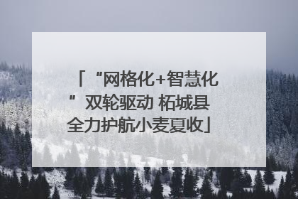 “网格化+智慧化”双轮驱动 柘城县全力护航小麦夏收