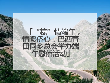 “粽”情端午，情暖侨心，巴西青田同乡总会举办端午慰侨活动