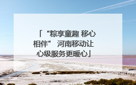 “粽享童趣 移心相伴” 河南移动让心级服务更暖心