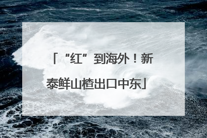 “红”到海外！新泰鲜山楂出口中东