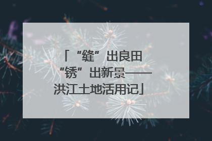 “缝”出良田 “锈”出新景——洪江土地活用记
