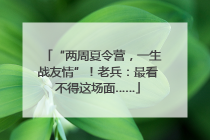 “两周夏令营，一生战友情”！老兵：最看不得这场面……