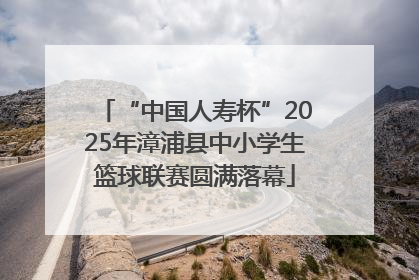 “中国人寿杯”2025年漳浦县中小学生篮球联赛圆满落幕