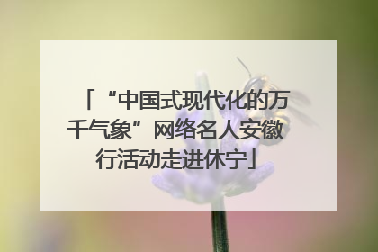 “中国式现代化的万千气象”网络名人安徽行活动走进休宁