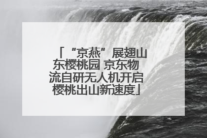 “京燕”展翅山东樱桃园 京东物流自研无人机开启樱桃出山新速度