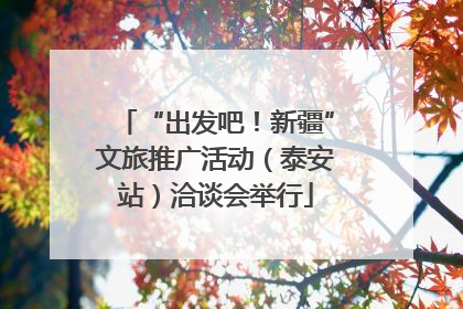 “出发吧！新疆”文旅推广活动（泰安站）洽谈会举行