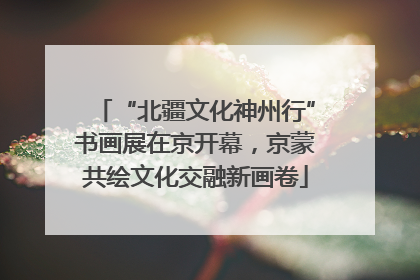 “北疆文化神州行”书画展在京开幕，京蒙共绘文化交融新画卷