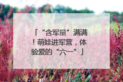 “含军量”满满！萌娃进军营，体验爱的“六一”