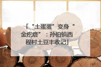 “土蛋蛋”变身“金疙瘩”：孙伯镇西程村土豆丰收记