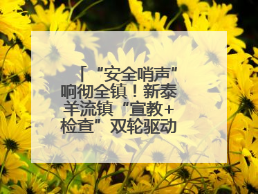 “安全哨声”响彻全镇！新泰羊流镇“宣教+检查”双轮驱动筑牢安全防线