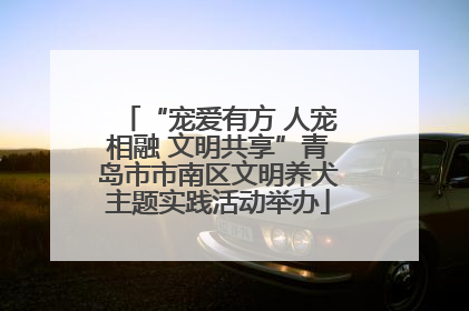 “宠爱有方 人宠相融 文明共享”青岛市市南区文明养犬主题实践活动举办