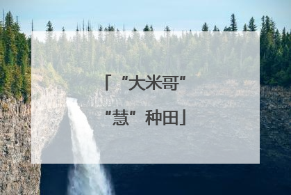 “大米哥”“慧”种田