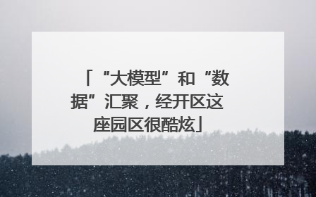“大模型”和“数据”汇聚，经开区这座园区很酷炫