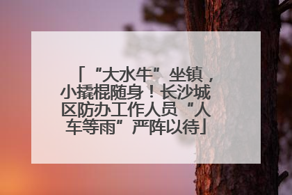 “大水牛”坐镇，小撬棍随身！长沙城区防办工作人员“人车等雨”严阵以待