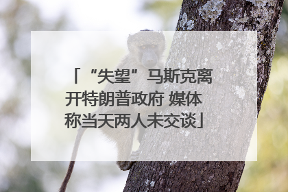 “失望”马斯克离开特朗普政府 媒体称当天两人未交谈