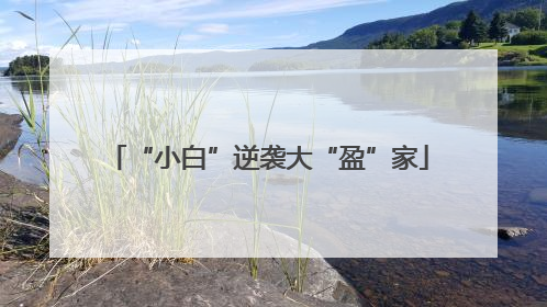 “小白”逆袭大“盈”家