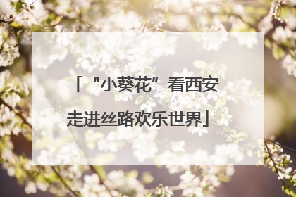 “小葵花”看西安走进丝路欢乐世界
