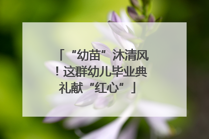 “幼苗”沐清风！这群幼儿毕业典礼献“红心”