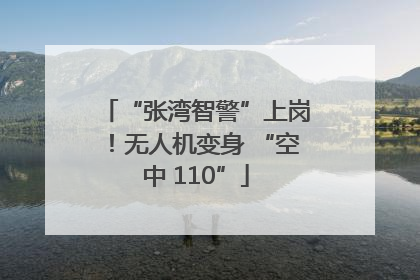 “张湾智警”上岗！无人机变身 “空中 110”