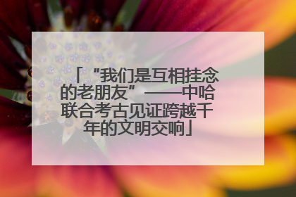 “我们是互相挂念的老朋友”——中哈联合考古见证跨越千年的文明交响