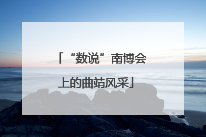 “数说”南博会上的曲靖风采