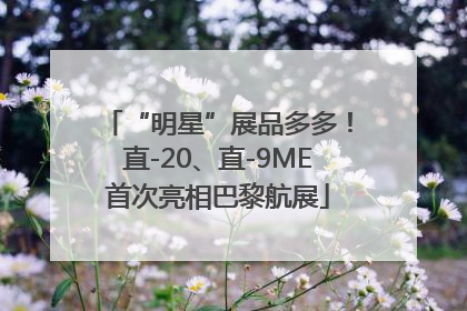 “明星”展品多多！直-20、直-9ME首次亮相巴黎航展