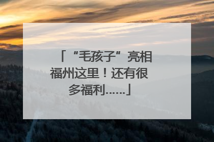 “毛孩子”亮相福州这里！还有很多福利……