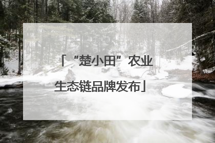“楚小田”农业生态链品牌发布