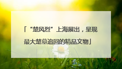 “楚风烈”上海展出，呈现最大楚墓追回的精品文物