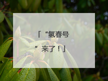 “氢春号”来了！