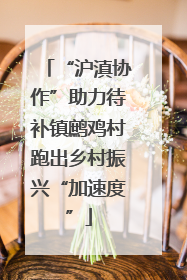 “沪滇协作”助力待补镇鹧鸡村跑出乡村振兴“加速度”