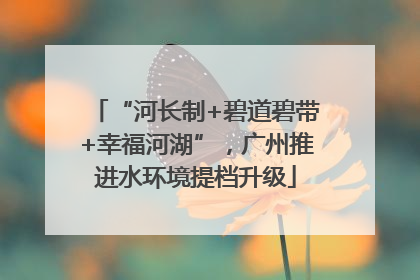 “河长制+碧道碧带+幸福河湖”，广州推进水环境提档升级
