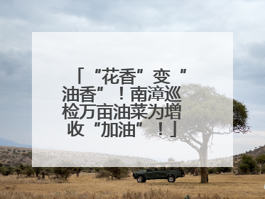 “花香”变“油香”！南漳巡检万亩油菜为增收“加油”！