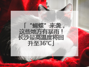 “蝴蝶”来袭，这些地方有暴雨！长沙最高温度将回升至36℃