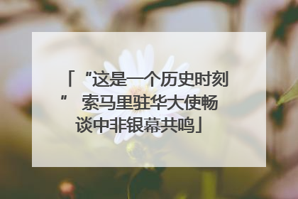 “这是一个历史时刻” 索马里驻华大使畅谈中非银幕共鸣