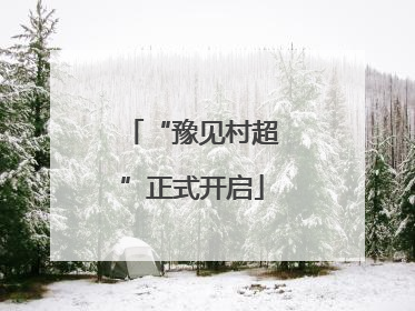 “豫见村超”正式开启