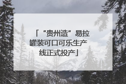 “贵州造”易拉罐装可口可乐生产线正式投产