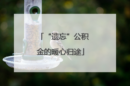 “遗忘”公积金的暖心归途