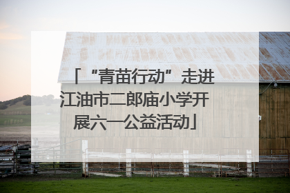 “青苗行动”走进江油市二郎庙小学开展六一公益活动