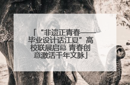 “非遗正青春——毕业设计话江夏”高校联展启幕 青春创意激活千年文脉