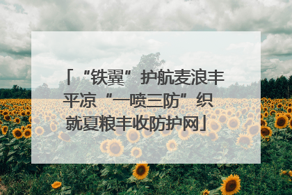 “铁翼”护航麦浪丰 平凉“一喷三防”织就夏粮丰收防护网