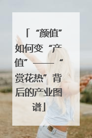 “颜值”如何变“产值”——“赏花热”背后的产业图谱